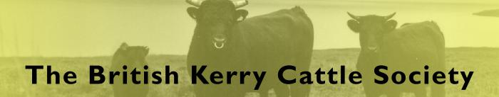 Kerry001a1